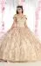 LK167-CHAMPAGNE/GOLD-10