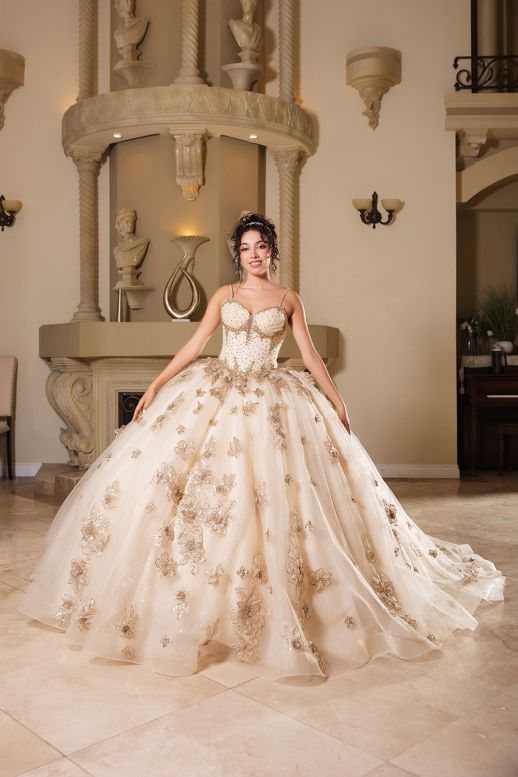 LK282-CHAMPAGNE/GOLD-10
